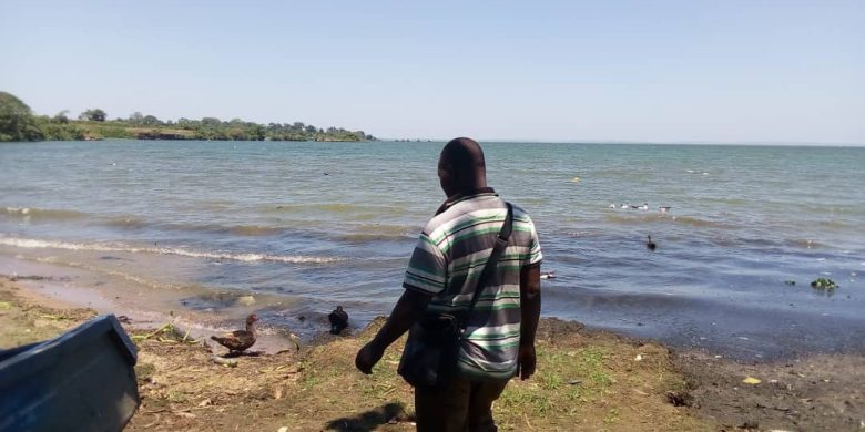 5 acres of land for sale in Mpungwe Katosi at 35m per acre