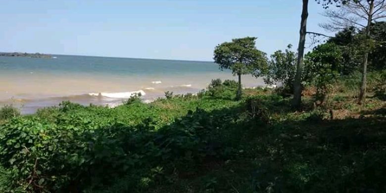 7 acres of beach front property for sale in Kasenyi at 150m per acre