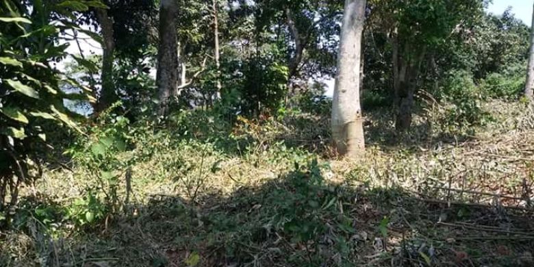 WhatsApp Image 2018-08-24 at 6.23.45 PM