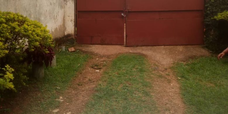 WhatsApp Image 2018-08-31 at 3.46.49 PM (2)