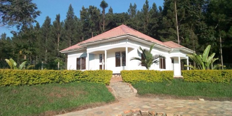 Farmland with a modern farm house for sale 8 acres 350m