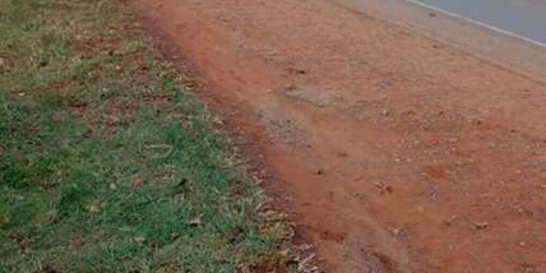 15 decimals of land for sale in Namugongo Msindye Seeta 180m