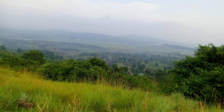 263 acres for sale in Busabaga off Lugazi on Jinja road at 10m per acre