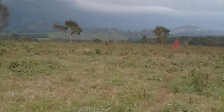 280 acres for sale in Misenyi Island Mukono 30m per acre