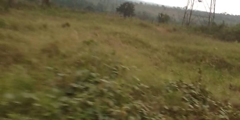 320 acres for sale on Jinja road at 60m per acre