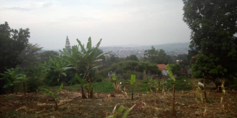 300 acres of land for sale in Luwero Mazzi at 2m per acre