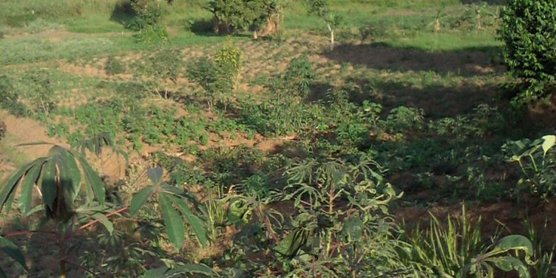 Land in Nakasongola to buy