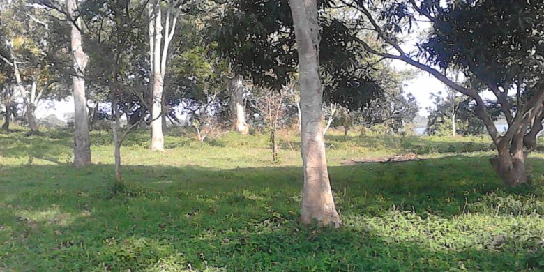 Land for sale in Nakasongola