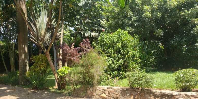 This is 50 decimals plot of land for sale in Kololo at 680,000 USD