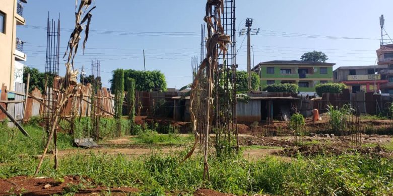 30 decimal plot Land For Sale In Bunga 350,000 USD