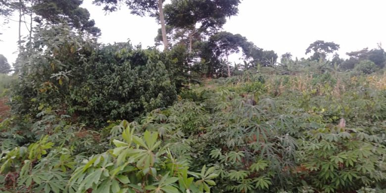 4 acres for sale in Kawuku 150m