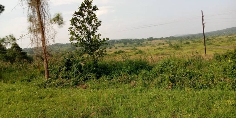 100x100 meters of land for sale in Senior Quarters Lira city at 450m shillings