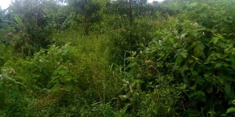 Acres of land for sale in Ngeta Lira city from 17m an acre