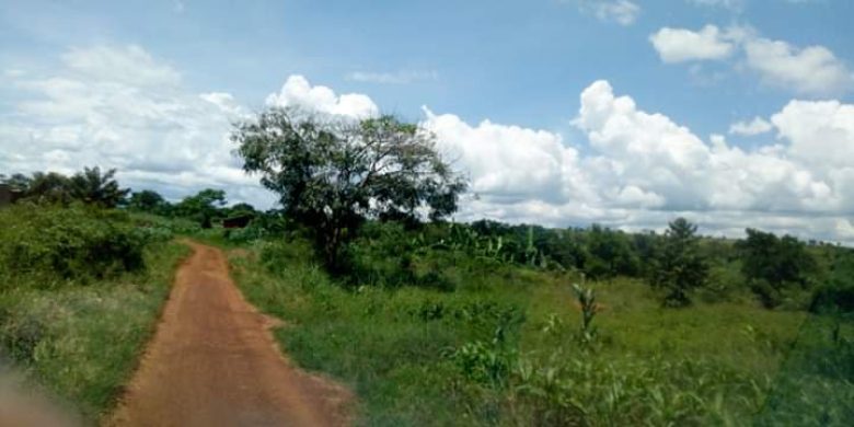 20 acres of farm land for sale in Amach Lira at 6m per acre