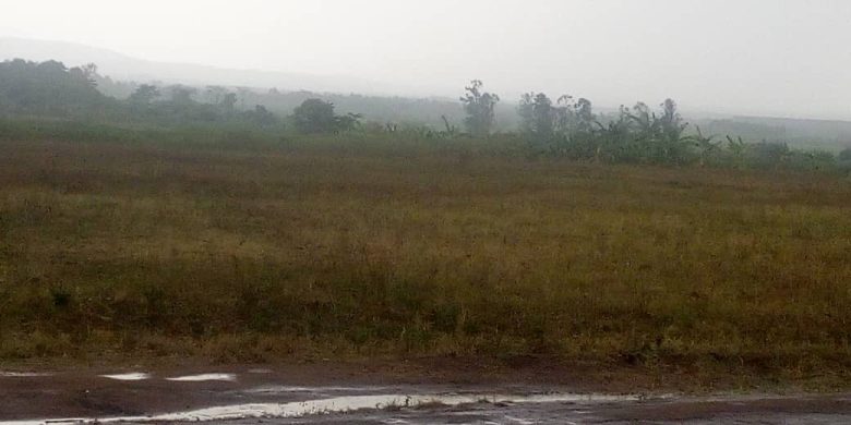3 acres for sale in Kamonkoli municipal Budaka at 35m per acre