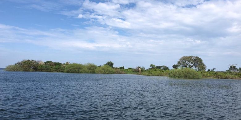 300 acres of Jana Island for sale at 10m per acre