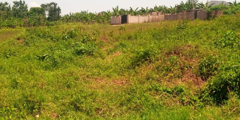 50x100ft plots for sale in Matugga Kavule at 18m each