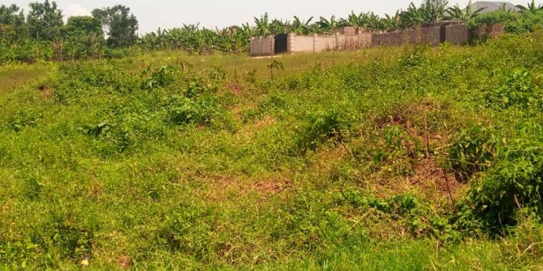 50x100ft plots for sale in Matugga Kavule at 18m each