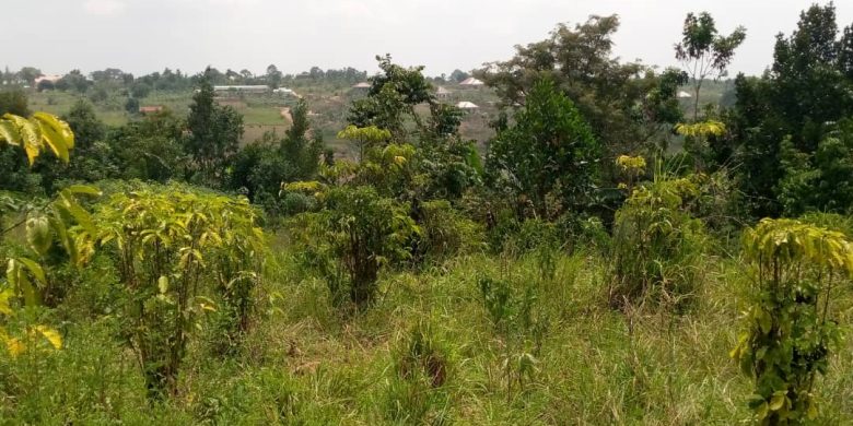 85 decimal plot for sale in Gombe Sambe at 22m off Matugga Semuto road