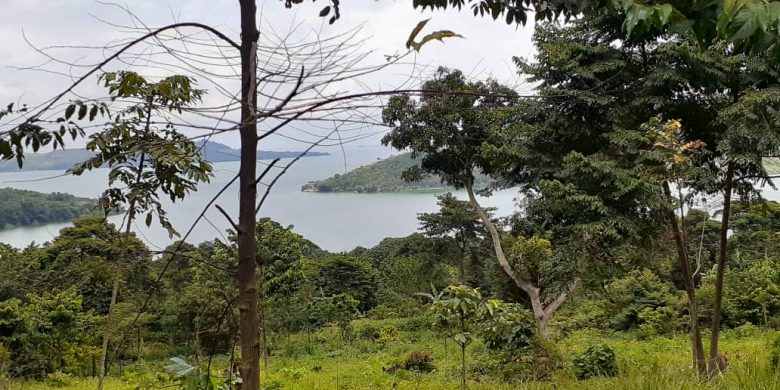 10 acres of waterfront land for sale in Buliba Buikwe at 40m each