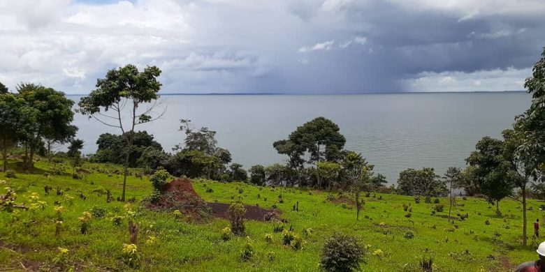 244 acres of lake shore land for sale in Nyimu Kisigula at 15m each