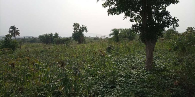 50 acres of farmland for sale in Nakaseke at 3m per acre