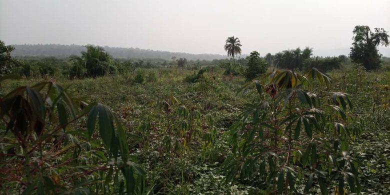 637 acres of land for sale in Kiboga at 2.8m per acre