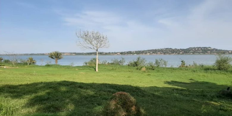 4 acres touching lake Victoria for sale in Kasanje at 180m per acre