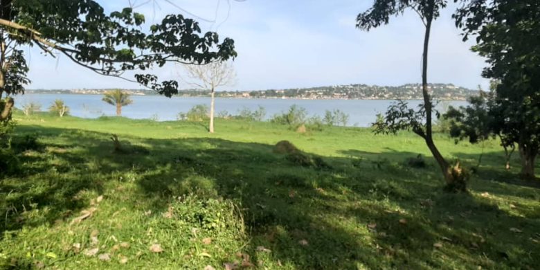 2 acres touching lake Victoria for sale at 100m each