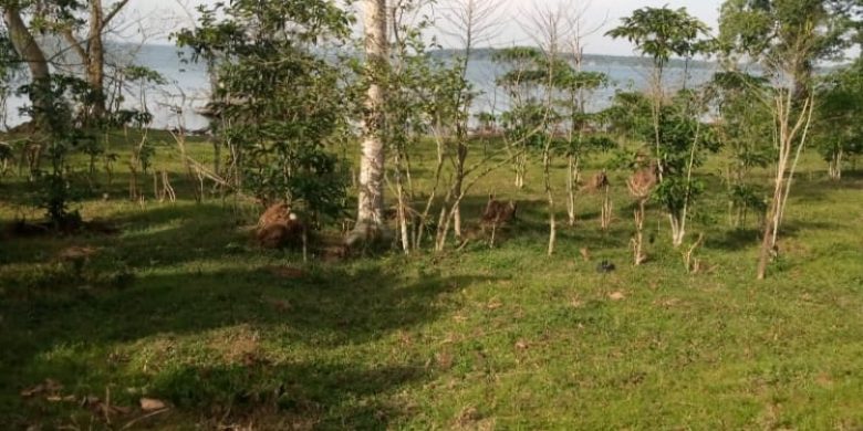5 acre beach front land for sale in Kalangala Island at 500m