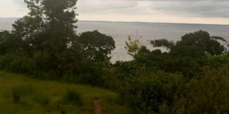 70 acres Lake view land for sale in Buikwe at 15m each