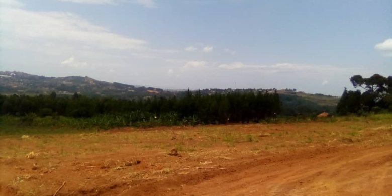 50x100ft plots for sale in Sssisa Lutaba at 35m each