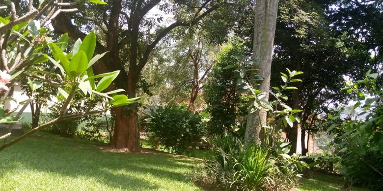 kololo rent2