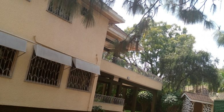 kololo rent6