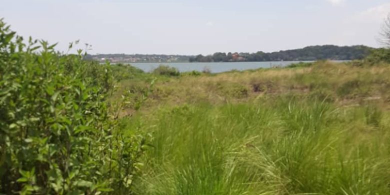 40 acres of lake shore land for sale in Kawuku at 300m
