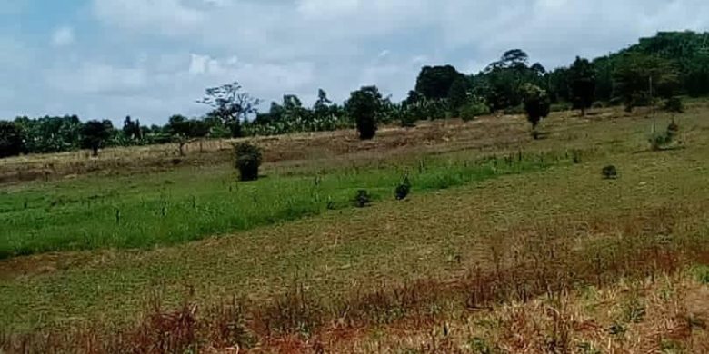 300 acres for sale in Nakawuka at 65m each