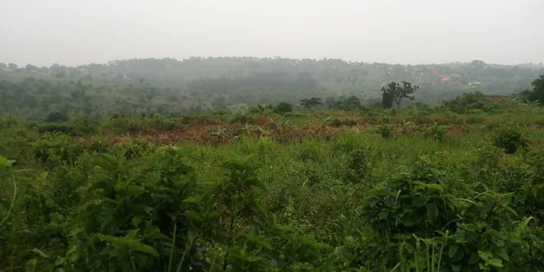 40 acres for sale in Kata Bombo road at 100m each