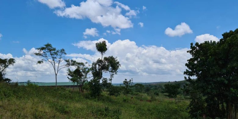 10 acres of land for sale in Mityana at 33m per acre