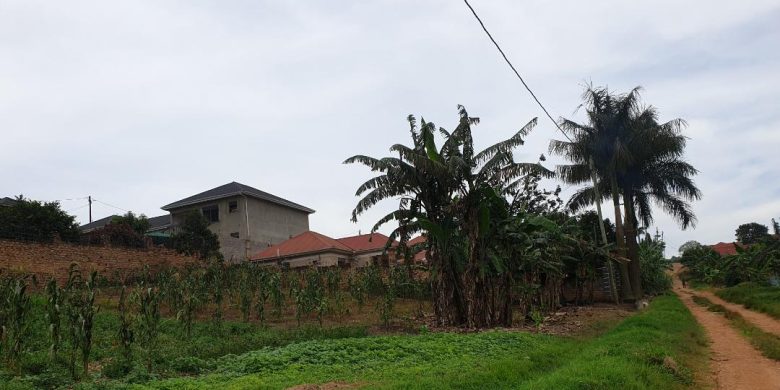 50x100ft plot of land for sale in Kira at 55m