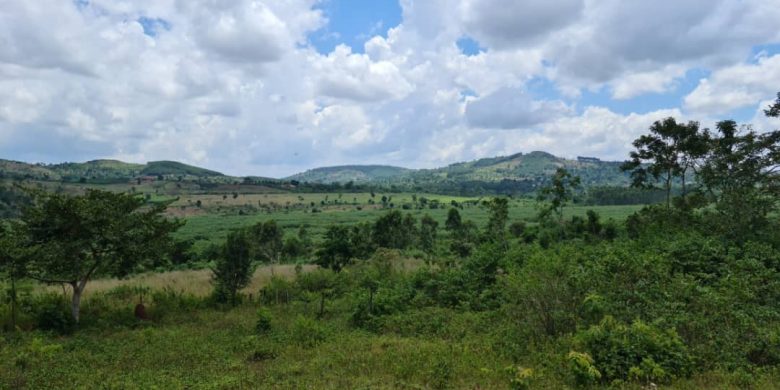 100x100ft plot of land for sale in Kira Shimoni at 110m
