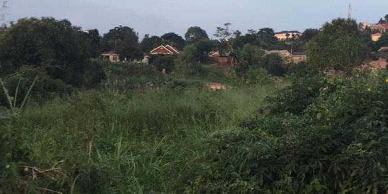 4 acres for sale in Seguku LUbowa at 800m per acre