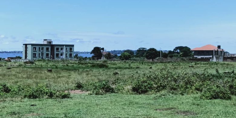 50x100ft plots of land for sale in Nkumba at 55m each