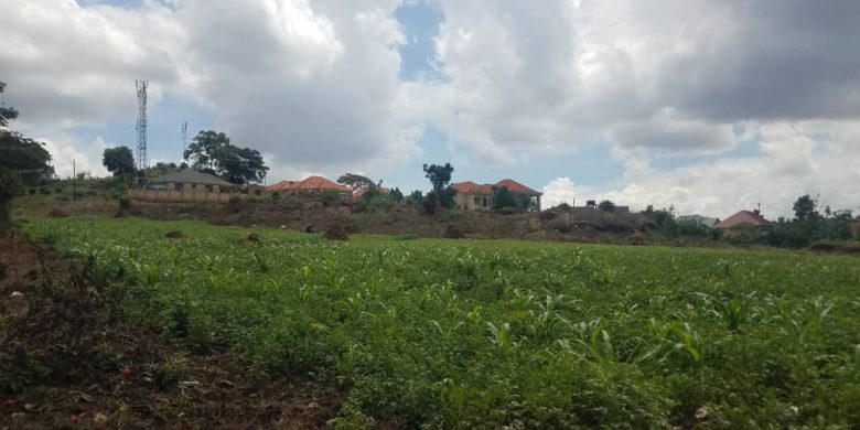2 acres of land for sale in Kira Mulawa at 600m each