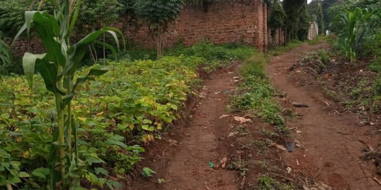50x100ft plot of land for sale in Namugongo at 38m