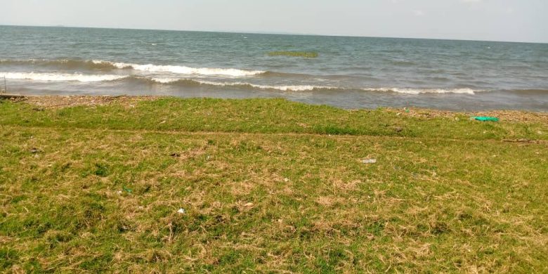 15 acres touching lake Victoria for sale in Garuga at 430m