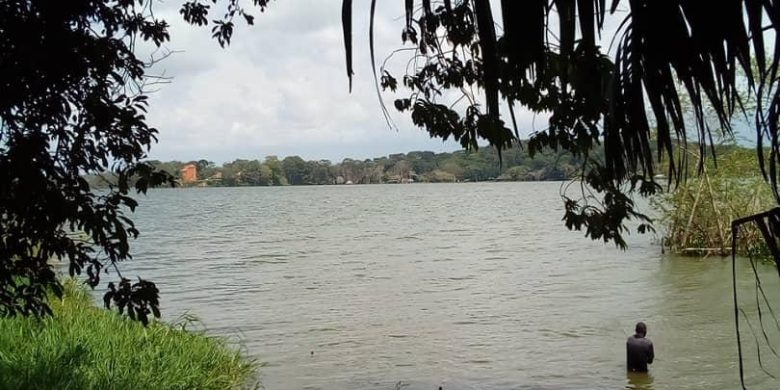 80 acres for sale in Bwerenga on Lake shore at 250m each