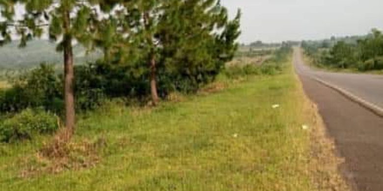 123 acres of land for sale in Busunju at 28m per acre