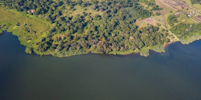90 acres of lake shore land for sale in Kawuku at 250m each