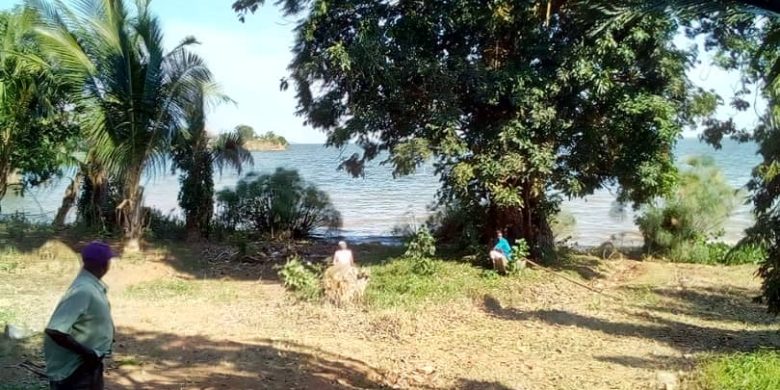 6 acre beach for sale in Bwerenga at 2.6 billion shillings