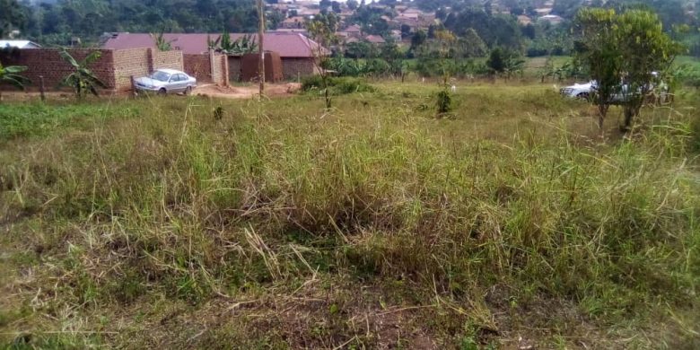 50x100ft plots for sale in Bukerere at 35m each